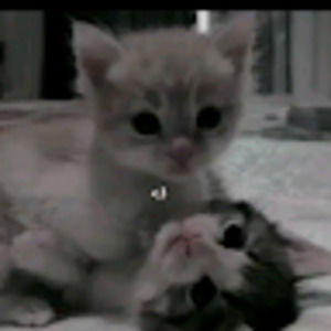 Meet your Posher, Bethany